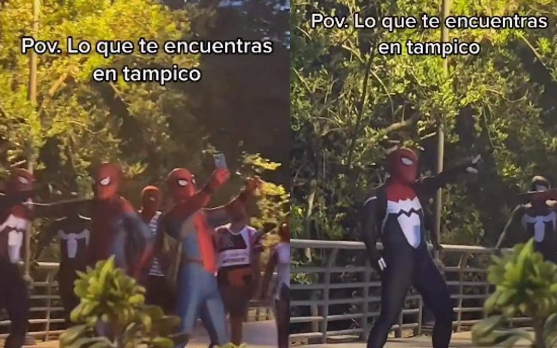 El video de los Spider-Man bailando en la laguna del Carpintero se volvió viral en TikTok Captura de pantalla TikTok @